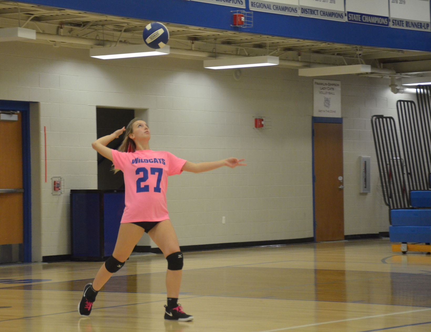 Volleyball Photo 1